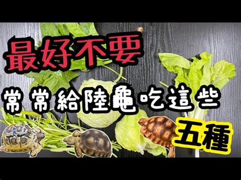 蘇卡達破壞力